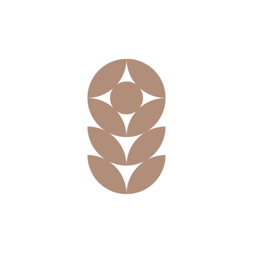 Plantwise - Köklenme Ritüeli