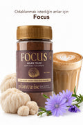 Focus Aslan Yelesi & Hindiba Kahvesi – Kafeinsiz, Yüksek Lifli, Vegan, Lion’s Mane, 100 g Cam Kavanoz