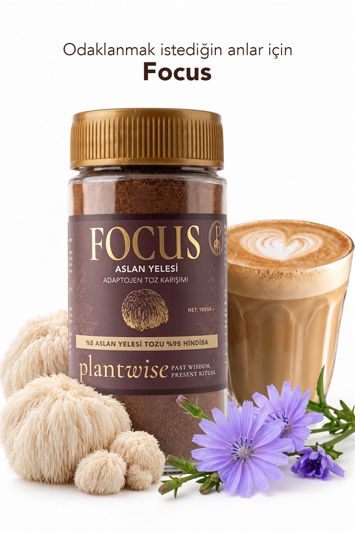 Focus Aslan Yelesi & Hindiba Kahvesi – Kafeinsiz, Yüksek Lifli, Vegan, Lion’s Mane, 100 g Cam Kavanoz
