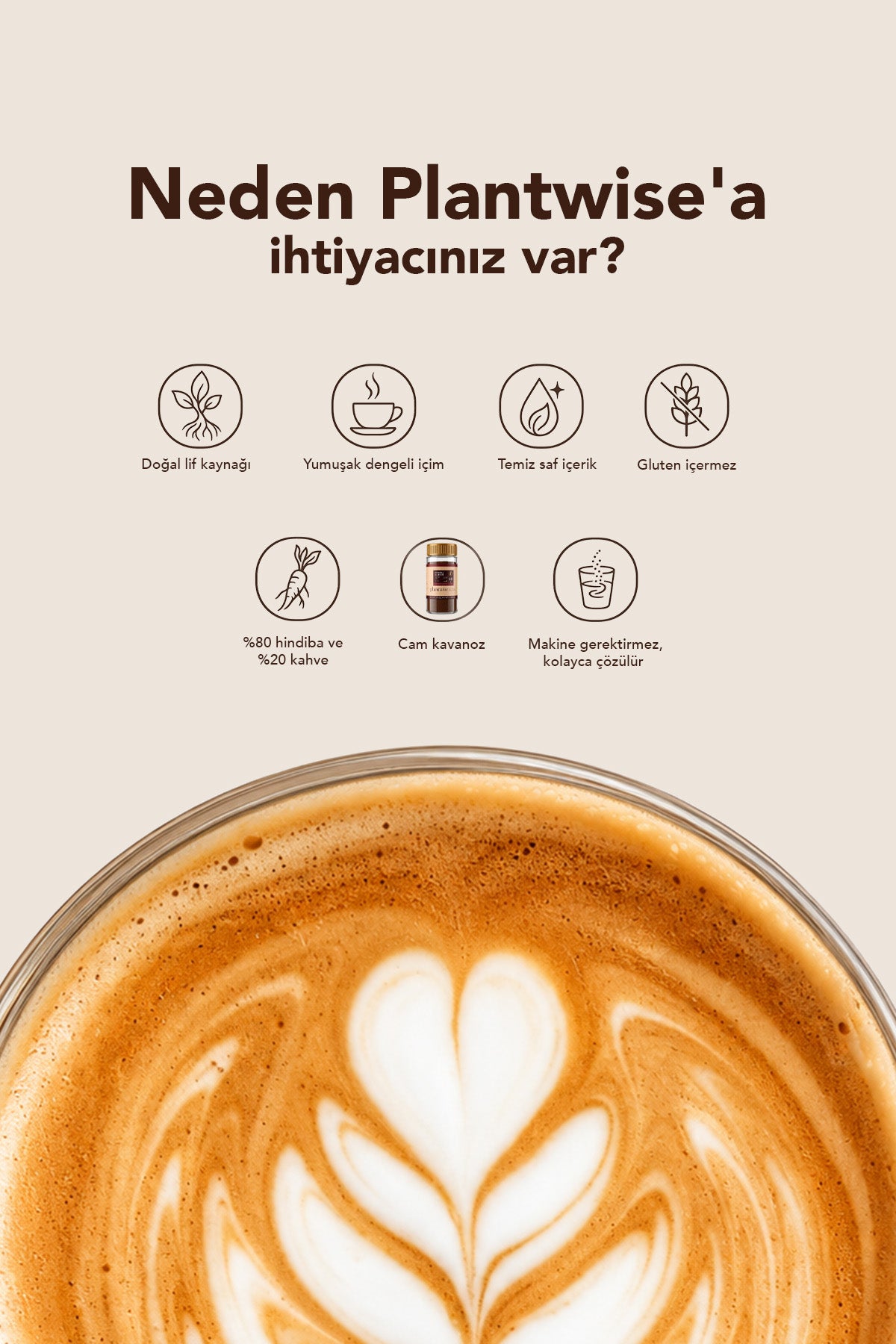 Hindiba Kahvesi %80 Hindiba %20 Kahve